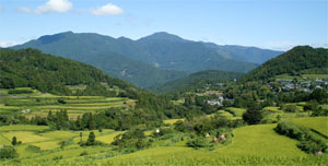 大石・吉延地区の棚田風景の写真