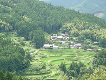 大石地区の棚田風景の写真