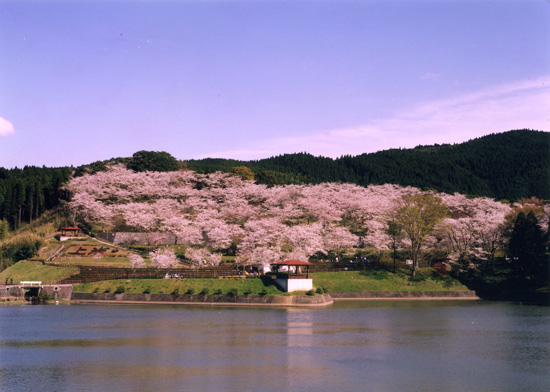 上米公園の写真