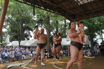 大相撲夏合宿のひとこま（赤ちゃんの土俵入り）の写真