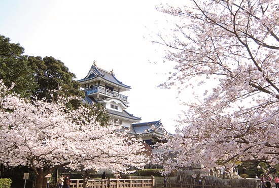 片岡地区「能満寺山公園と展望台小山城」の写真