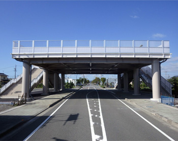 道路上に建設した津波避難タワーの写真