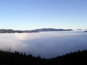 峠から望む雲海の写真