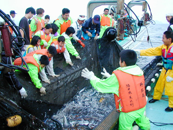 大敷網漁船に乗って若狭湾で漁業体験の写真