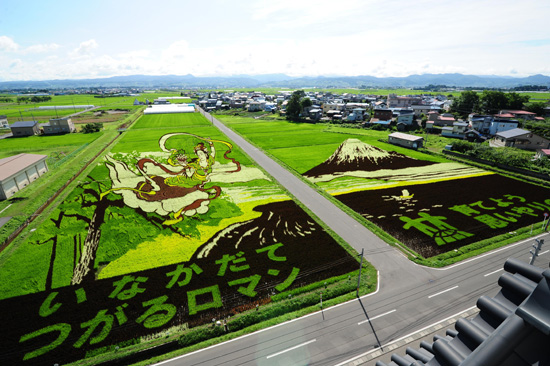 田んぼアート「富士山と羽衣伝説」の写真