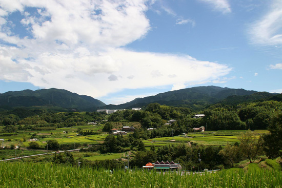 葛城山、金剛山の写真