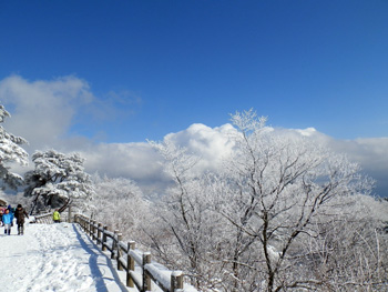 金剛山の樹氷の写真