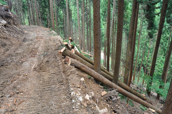 川上といわれる山の現場の写真