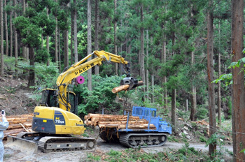 高性能林業機械の写真