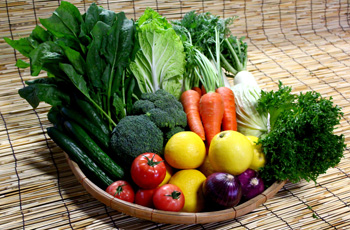 さまざまな野菜の写真