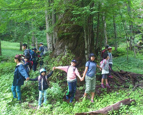 早川町の子供たちの写真