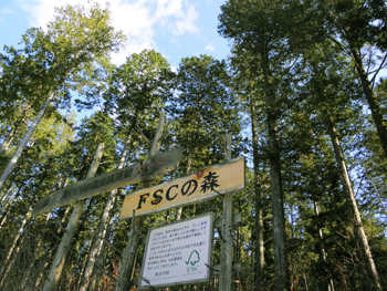 「FSCの森」の様子の写真