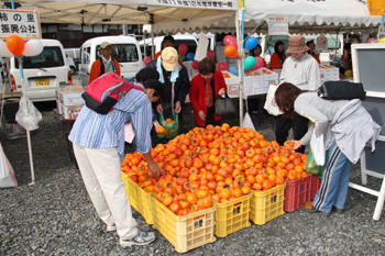「大収穫祭ＩＮ九度山」で特産品「富有柿」を販売している様子の写真