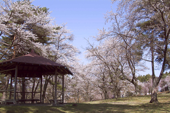 舘野公園の写真