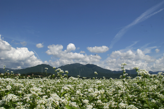 綿向山の写真