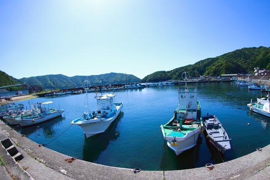 青い空、青い海、漁船が佇む風景の写真