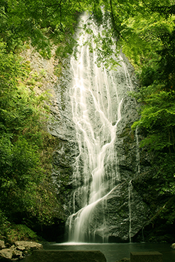 琴滝の写真