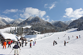 わかさ氷ノ山スキー場の様子の写真