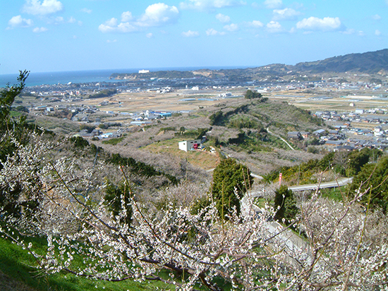 和歌山県みなべ町 日本一の梅の里 紀州みなべの南高梅を世界へ 全国町村会