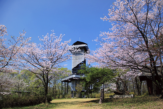 郡内を一望できる二ノ宮山の写真