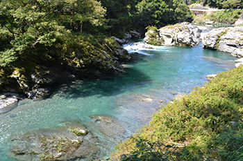 汗見川の写真