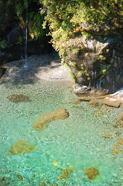 透明度の高い汗見川の写真