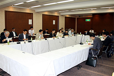 第29次地方制度調査会 第14回専門小委員会のようす１