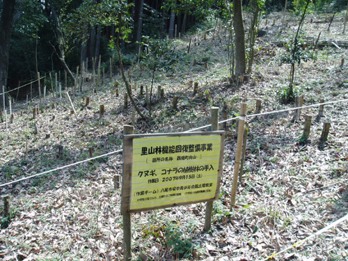 里山を維持するための取組