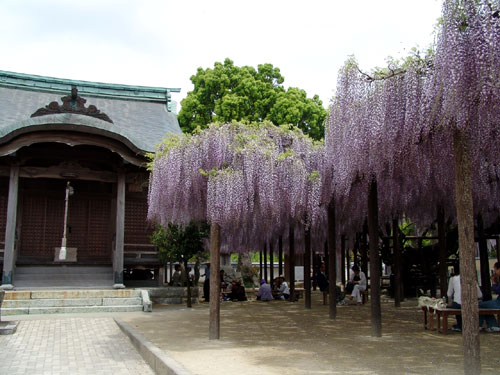 筑前町風景（大藤）