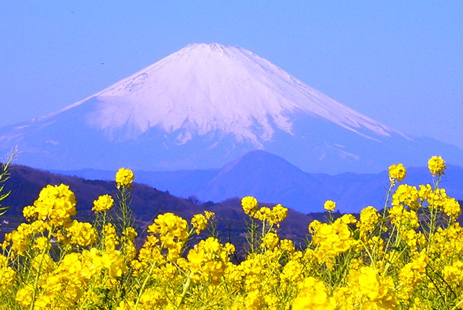 富士山を最高の場所で。その特等席の名は吾妻山