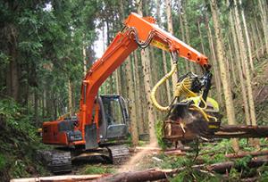 高性能林業機械による間伐作業状況