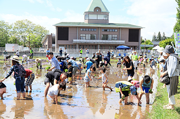 豊作祈願 田植え祭り