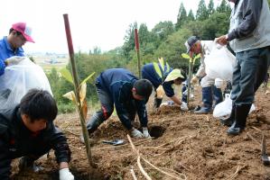 コウボク薬樹の森植樹事業