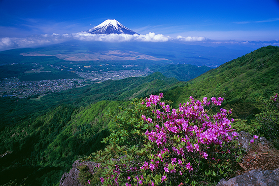 山梨県忍野村