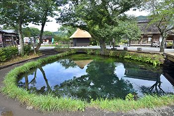 忍野八海一の湧き水量を誇る湧池