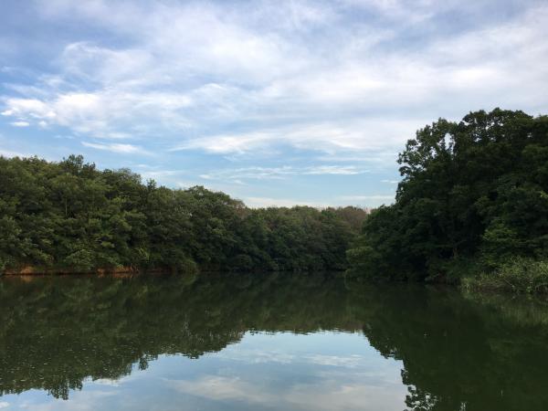 町内で最も大きく神秘的な秩父池