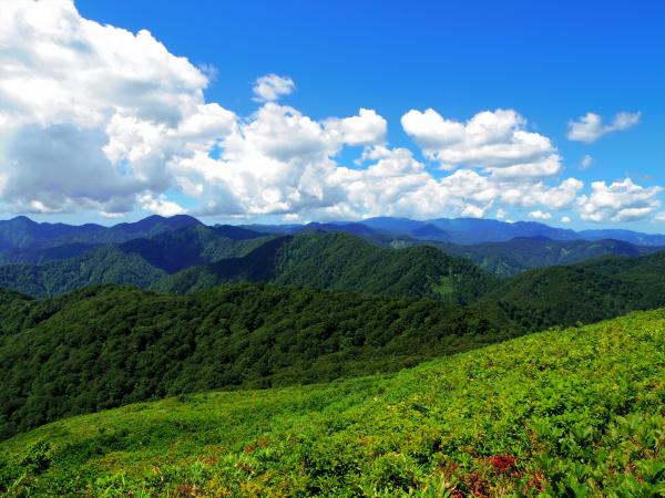 小岳からの白神山地世界遺産地域