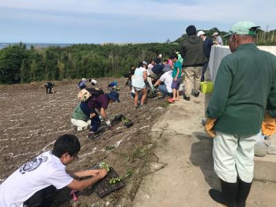 地域の人たちとひまわりの苗植え