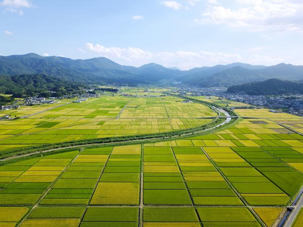 ドローン使用により撮影した加悦谷平野