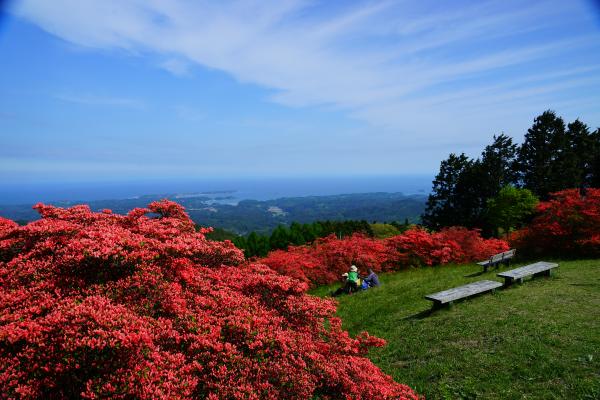 リアス式海岸を一望できる田束山