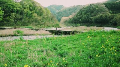 木津川を横断している「恋路橋（潜没橋）」