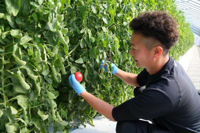 肥沃な土壌に恵まれ、味が濃い新鮮な野菜が採れます