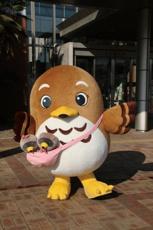 市貝町マスコットキャラクター　サシバのサッちゃん