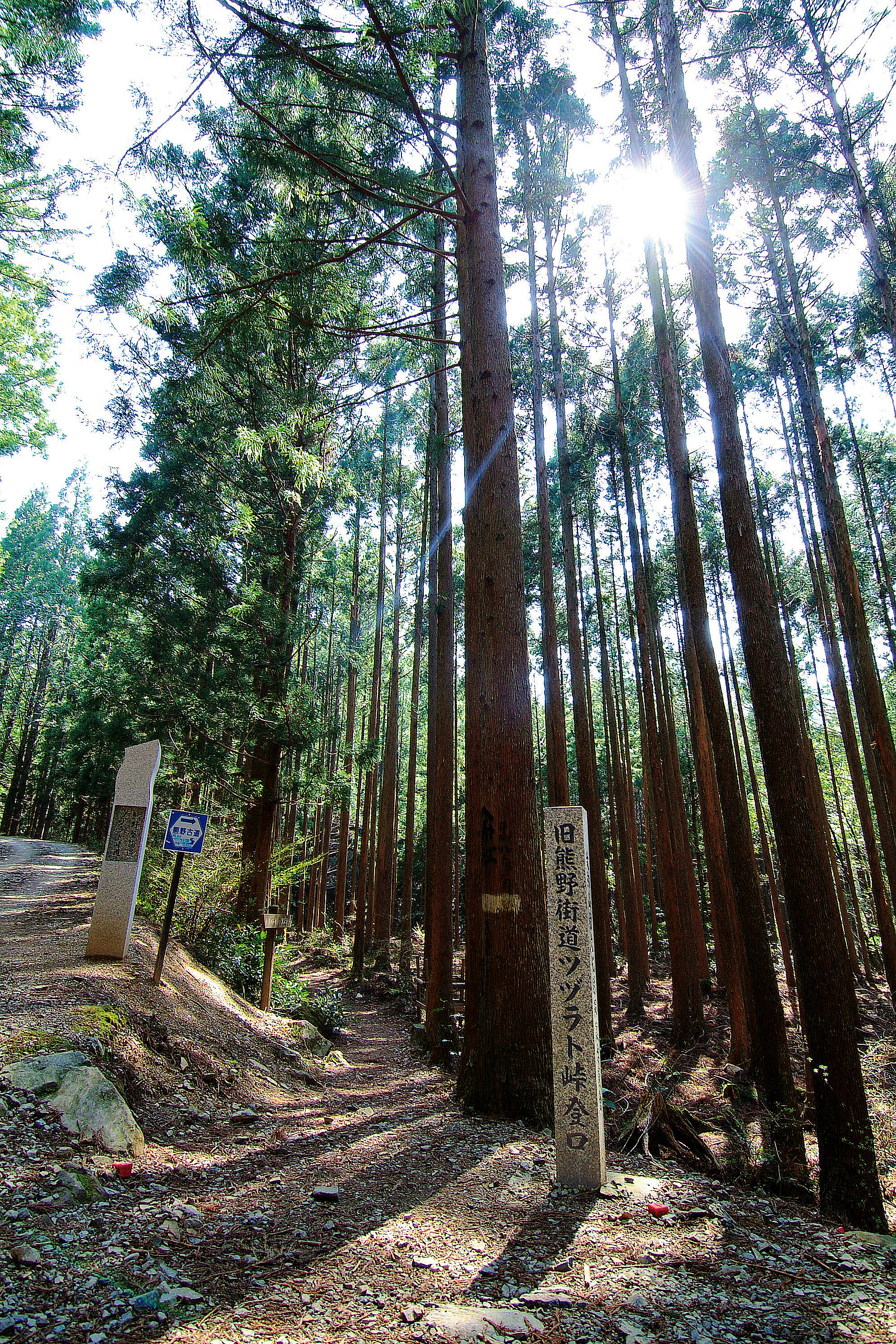 世界遺産熊野古道ツヅラト峠