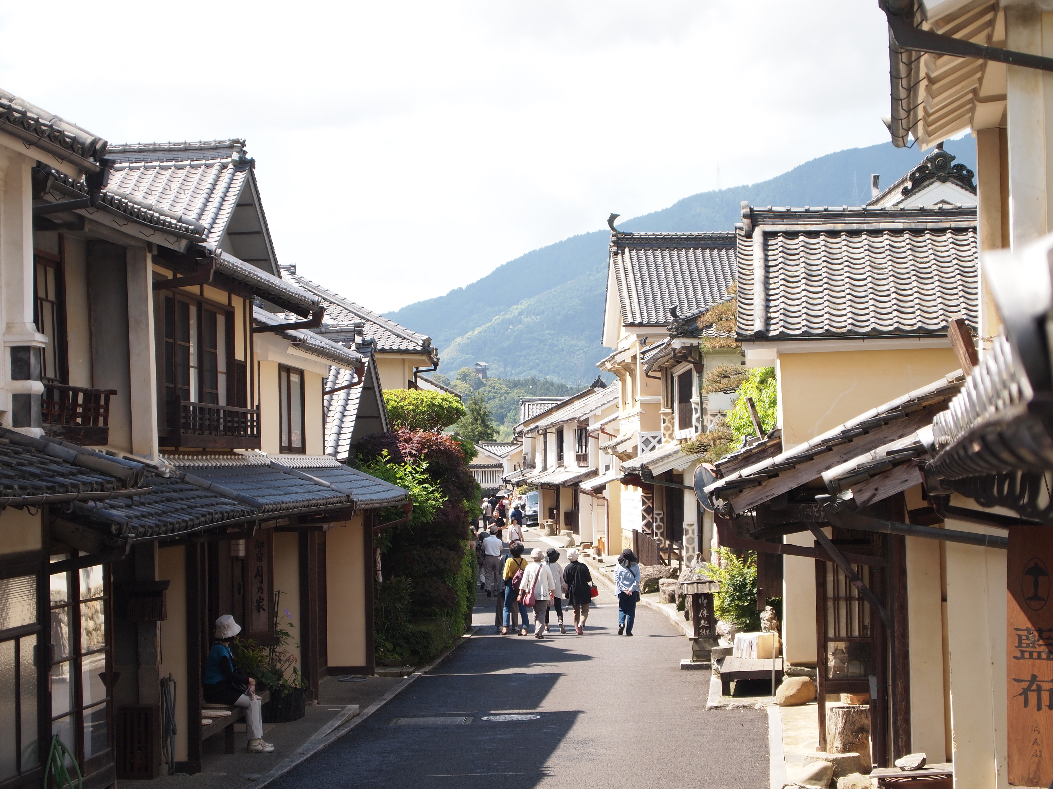 重要伝統的保存地区に選定された八日市・護国の町並み