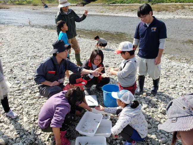 川の生き物調べ－自然観察会の一風景