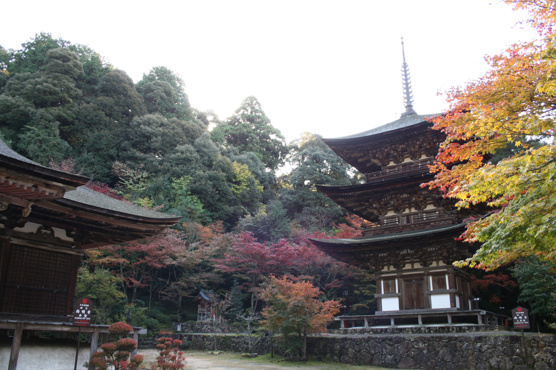 町内にある湖東三山　西明寺（国宝三重塔）