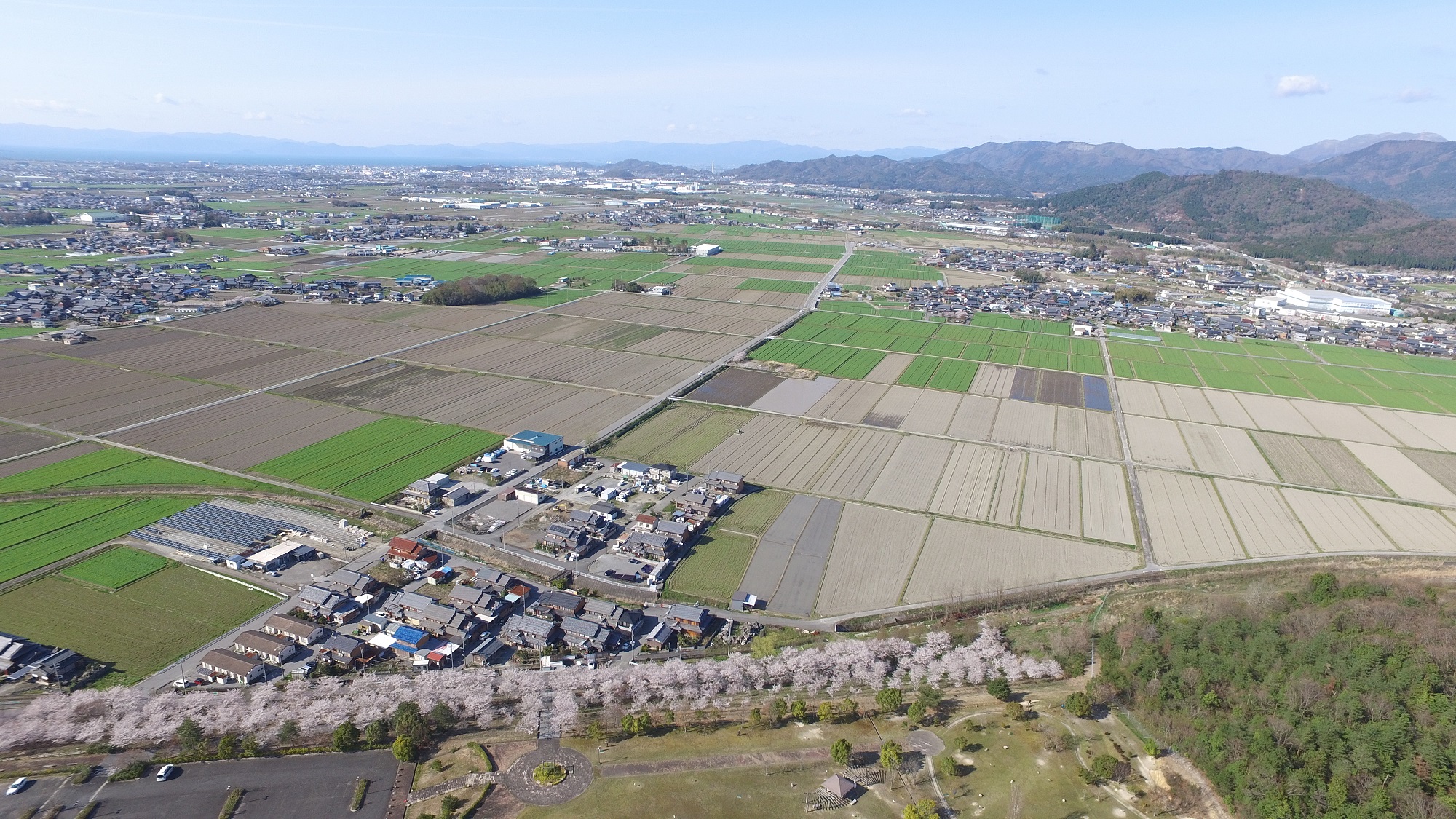 春の甲良町