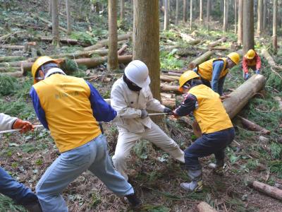 複数人で丸太を引っ張る様子