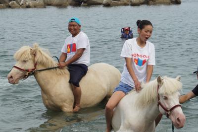 海での乗馬